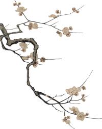 蔚县，一座有故事的古城！