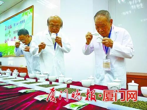 两岸斗茶最新征集,两岸斗茶金奖茶王多少钱