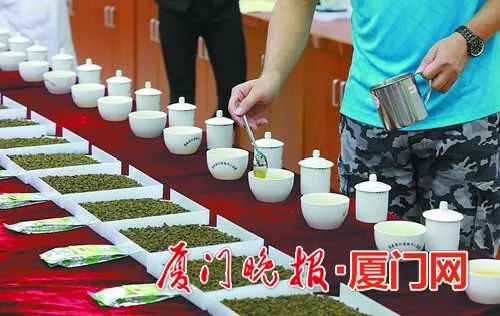 两岸斗茶最新征集,两岸斗茶金奖茶王多少钱