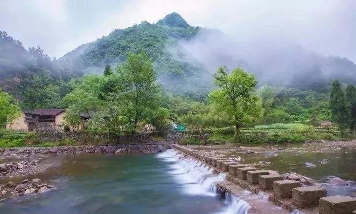 青田省级森林城镇,青田城市环境