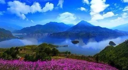 青田省级森林城镇,青田城市环境