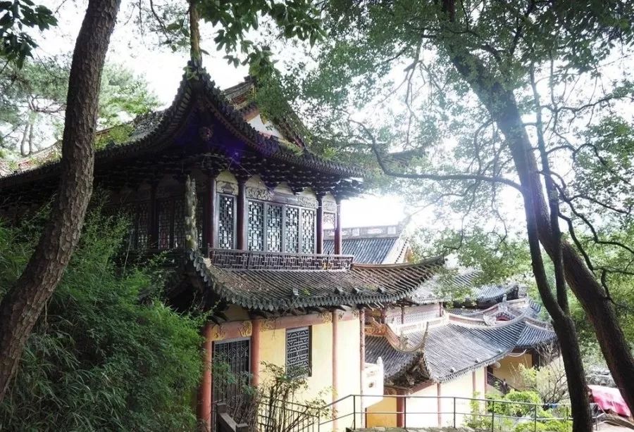 青田省级森林城镇,青田城市环境