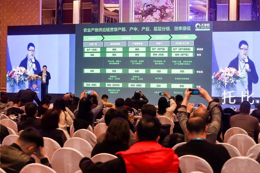 喜报丰收,大丰收喜讯连连