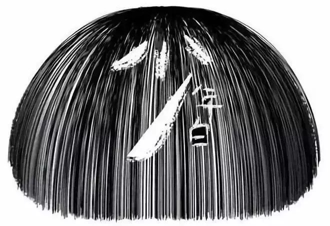 快速遮盖白发黑发神器,白发一分钟变乌黑亮发