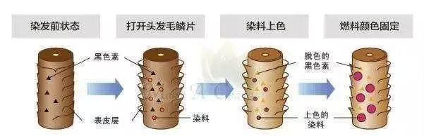 快速遮盖白发黑发神器,白发一分钟变乌黑亮发