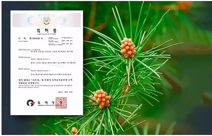 快速遮盖白发黑发神器,白发一分钟变乌黑亮发