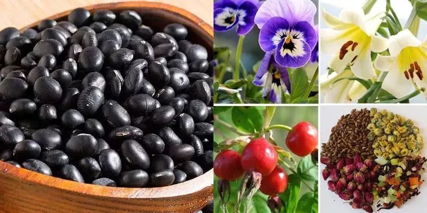 快速遮盖白发黑发神器,白发一分钟变乌黑亮发