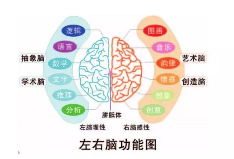 鍏抽棴宸﹁剳,鍏抽棴宸﹁剳鎵撳紑鍙宠剳