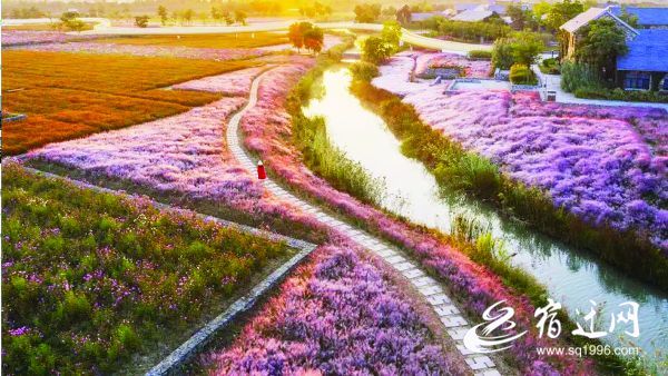 宿迁一个美丽的城市,宿迁一个潜力很高的城市