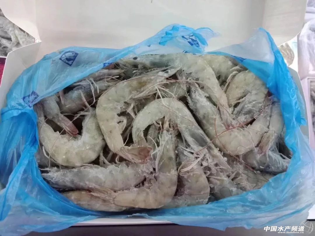 进口虾最新消息,中国进口白虾市场潜力
