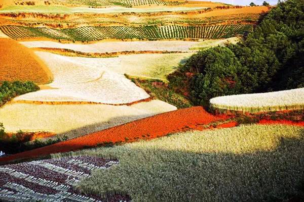 5月东川红土地旅游攻略,旅行记五彩斑斓的东川红土地