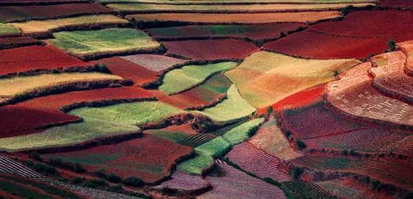 5月东川红土地旅游攻略,旅行记五彩斑斓的东川红土地