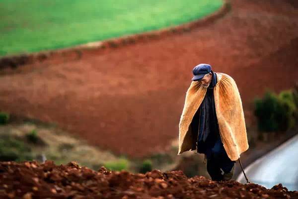 5月东川红土地旅游攻略,旅行记五彩斑斓的东川红土地