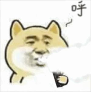 对不起,我的口气熏到您了!丨好物推荐