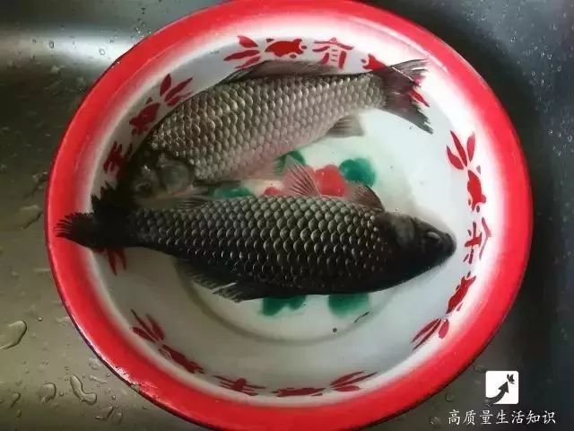 妙招｜去除鱼鳞太难？那你是不知道这几招！