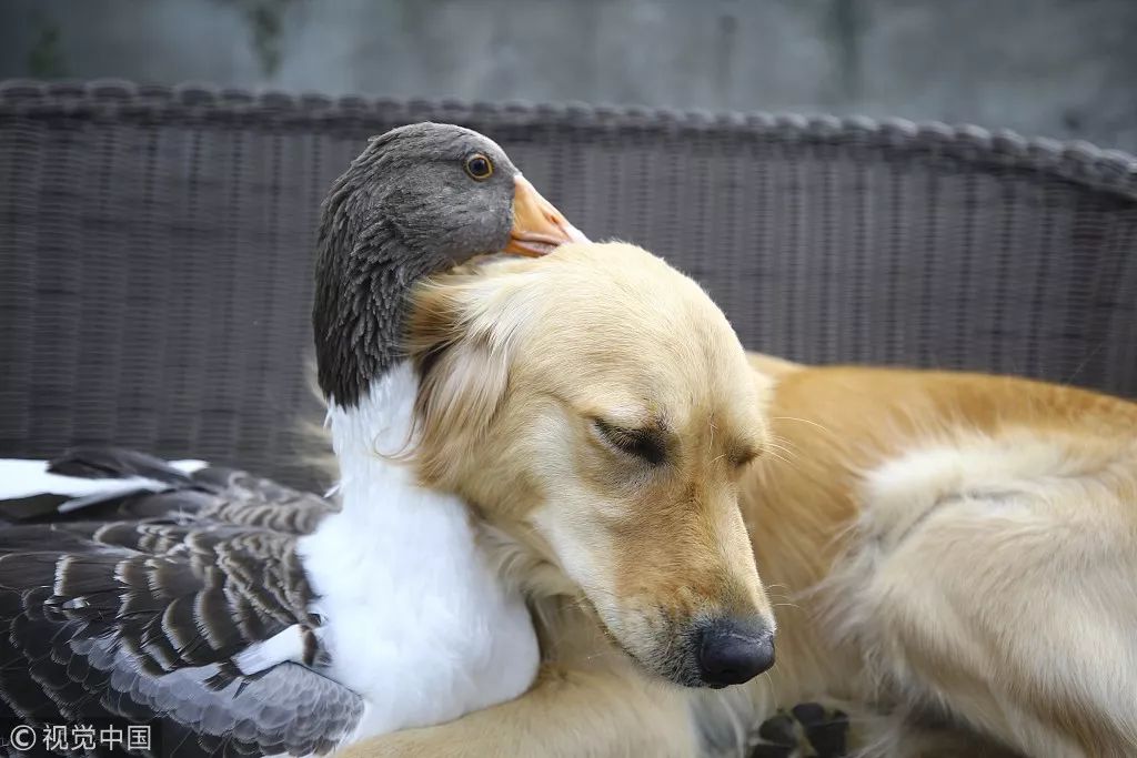 那些年小确幸,以前的那些小确幸