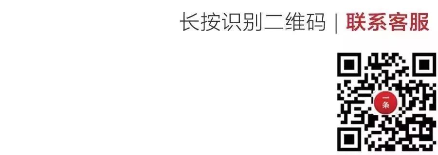 日本瓷器顶级作品,一条素瓷