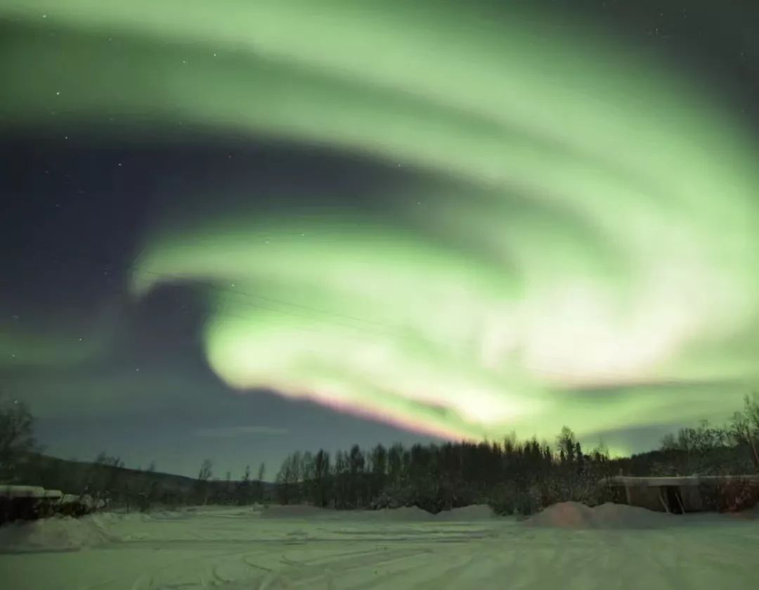 圣诞节出没的绿毛怪,圣诞节绿毛怪格林奇真人版