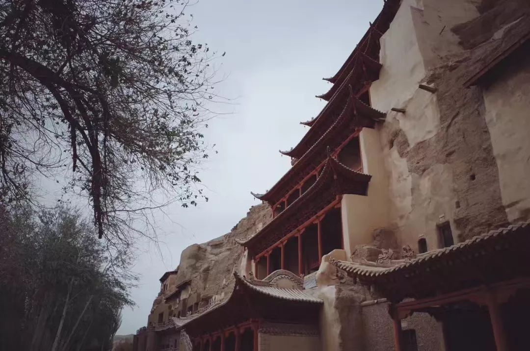 圣诞节出没的绿毛怪,圣诞节绿毛怪格林奇真人版