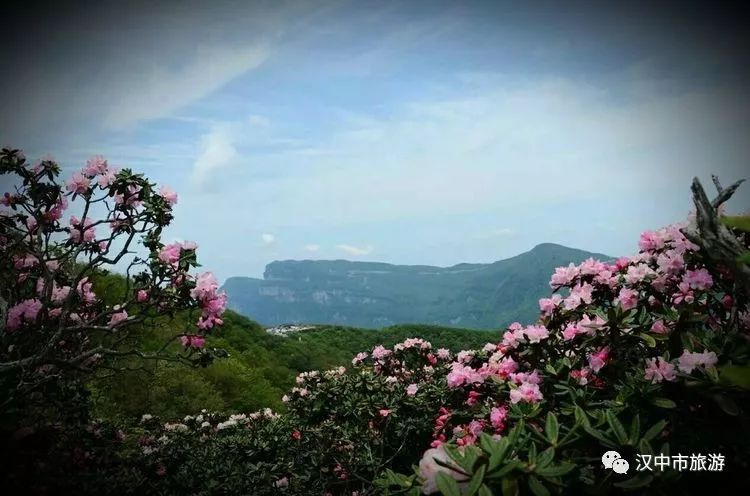 2023年的第一场旅行从成都开始,2019年汉中旅游攻略