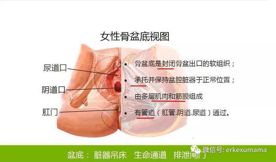 母乳喂养期间怎么瘦肚,世界公认瘦肚子最快最有效的方法