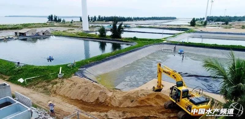 禁养水产最新政策,禁止养殖水产名单