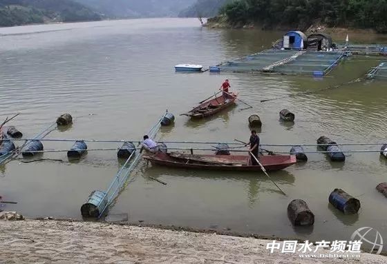 禁养水产最新政策,禁止养殖水产名单