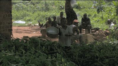 蚊香杀虫剂都扔掉吧,夏天消灭蚊子用蚊香还是杀虫剂