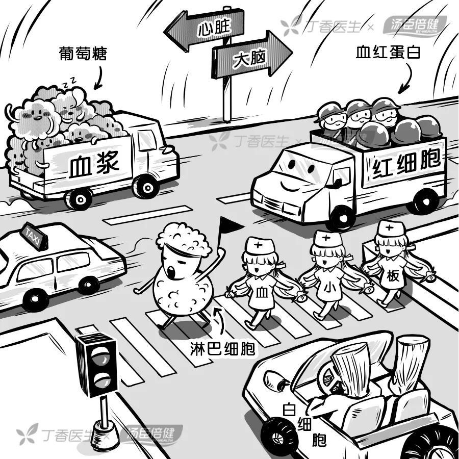 喝醋能软化血管,喝醋不能软化血管