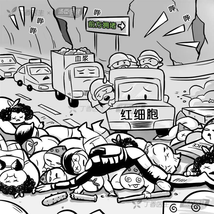 喝醋能软化血管,喝醋不能软化血管