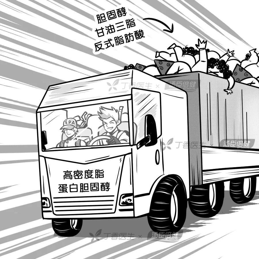 喝醋能软化血管,喝醋不能软化血管