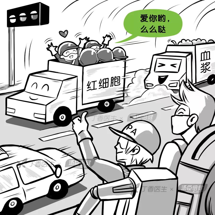 喝醋能软化血管,喝醋不能软化血管