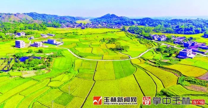 现在的博白是怎样的,你知道博白有多牛吗