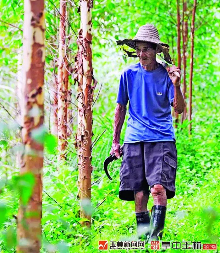 现在的博白是怎样的,你知道博白有多牛吗