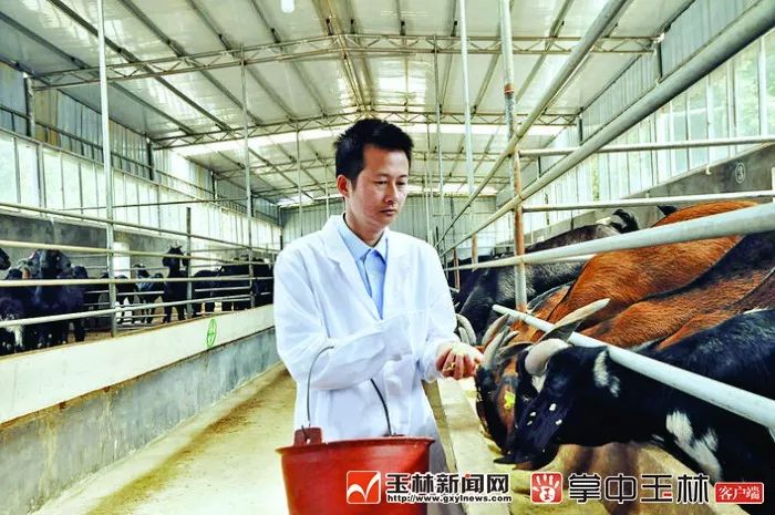 现在的博白是怎样的,你知道博白有多牛吗