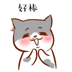 龙湾办理经营许可证价格,龙湾区营业执照办理