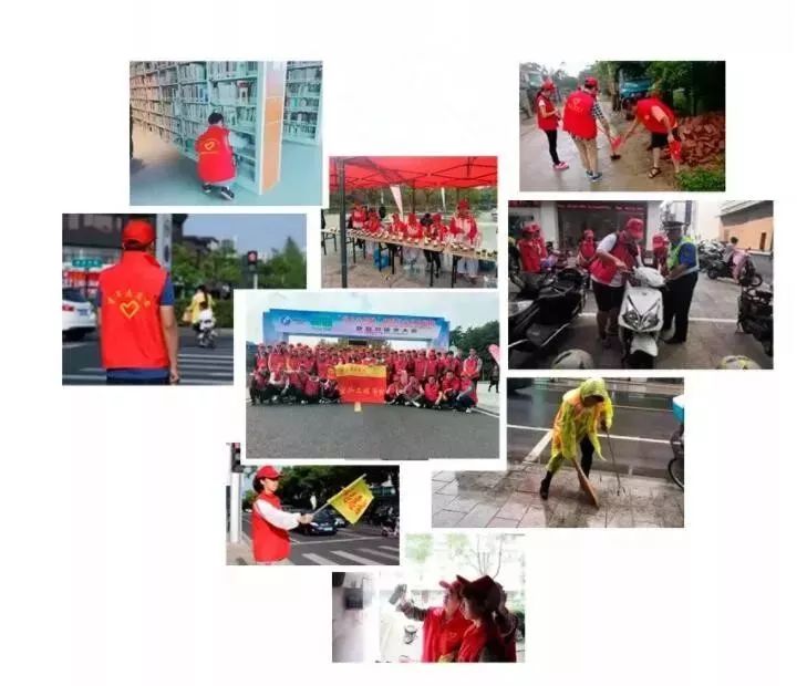 杜鹃花开新时代全集,杜鹃花开新时代完整版