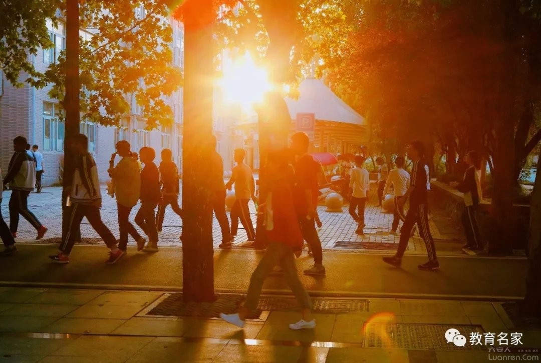 毛坦厂中学与科德教育,毛坦厂中学教育模式