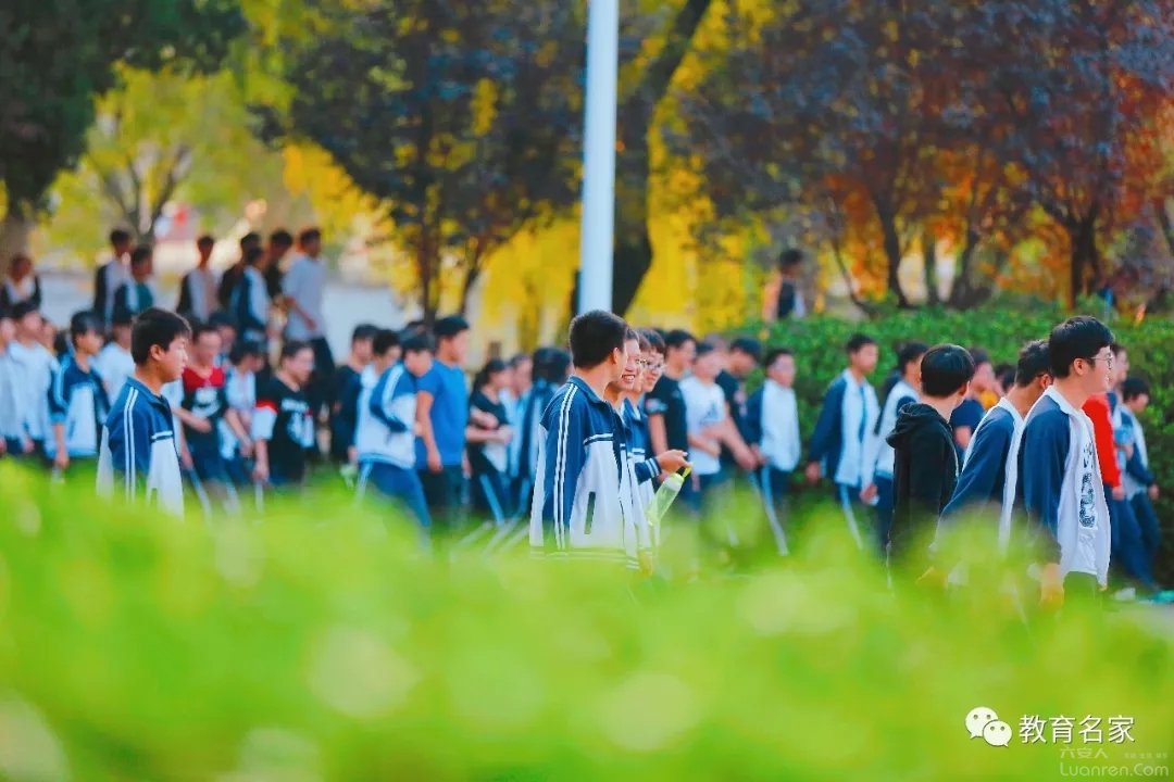 毛坦厂中学与科德教育,毛坦厂中学教育模式