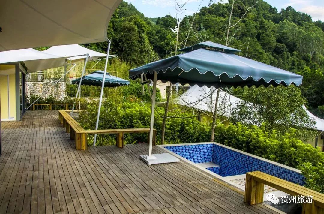 温泉森林氧吧,温泉鸟巢