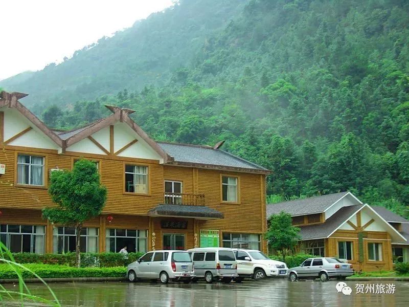 温泉森林氧吧,温泉鸟巢