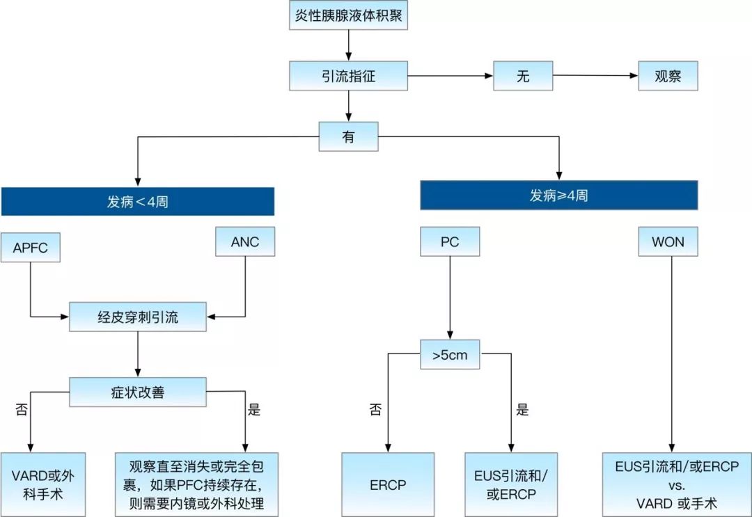 权威研究说，胰腺液体积聚引流，内镜可以这样用