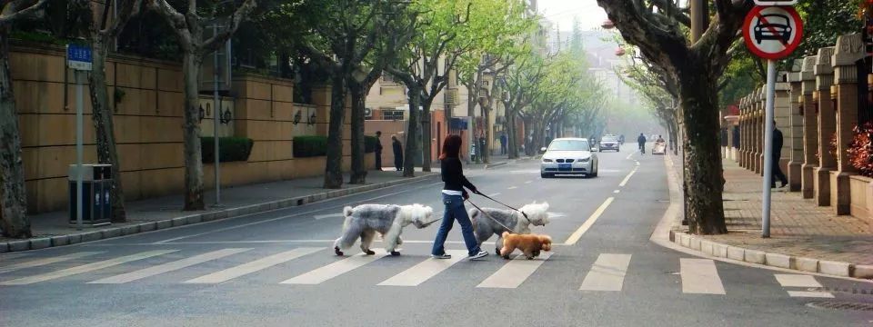 义乌篁园市场要拆了吗,义乌篁园市场现在还让开吗