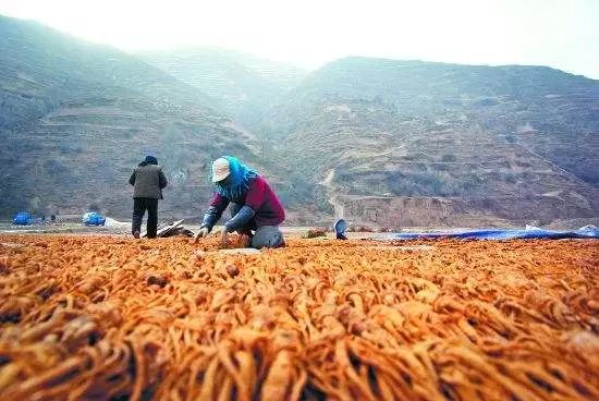 云南白药黄连上清片跟三九感冒灵,感冒药复方氨酚烷片涨价