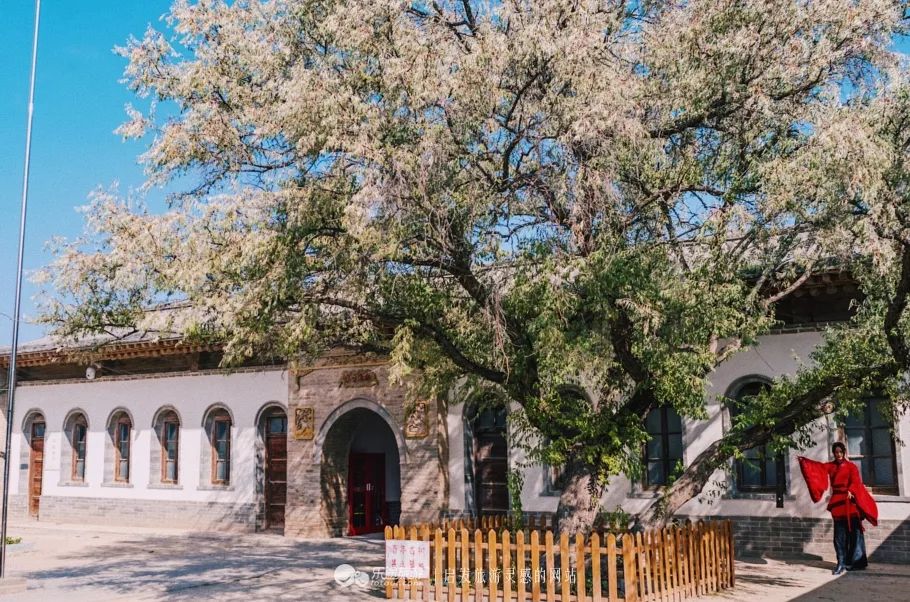白银市白银区都有哪些小学,白银市比较好的小学