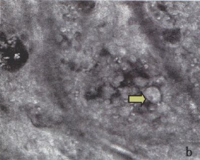 杏林医院皮肤科,杏林皮肤科医院