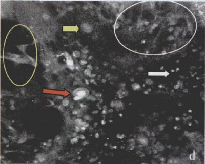 杏林医院皮肤科,杏林皮肤科医院