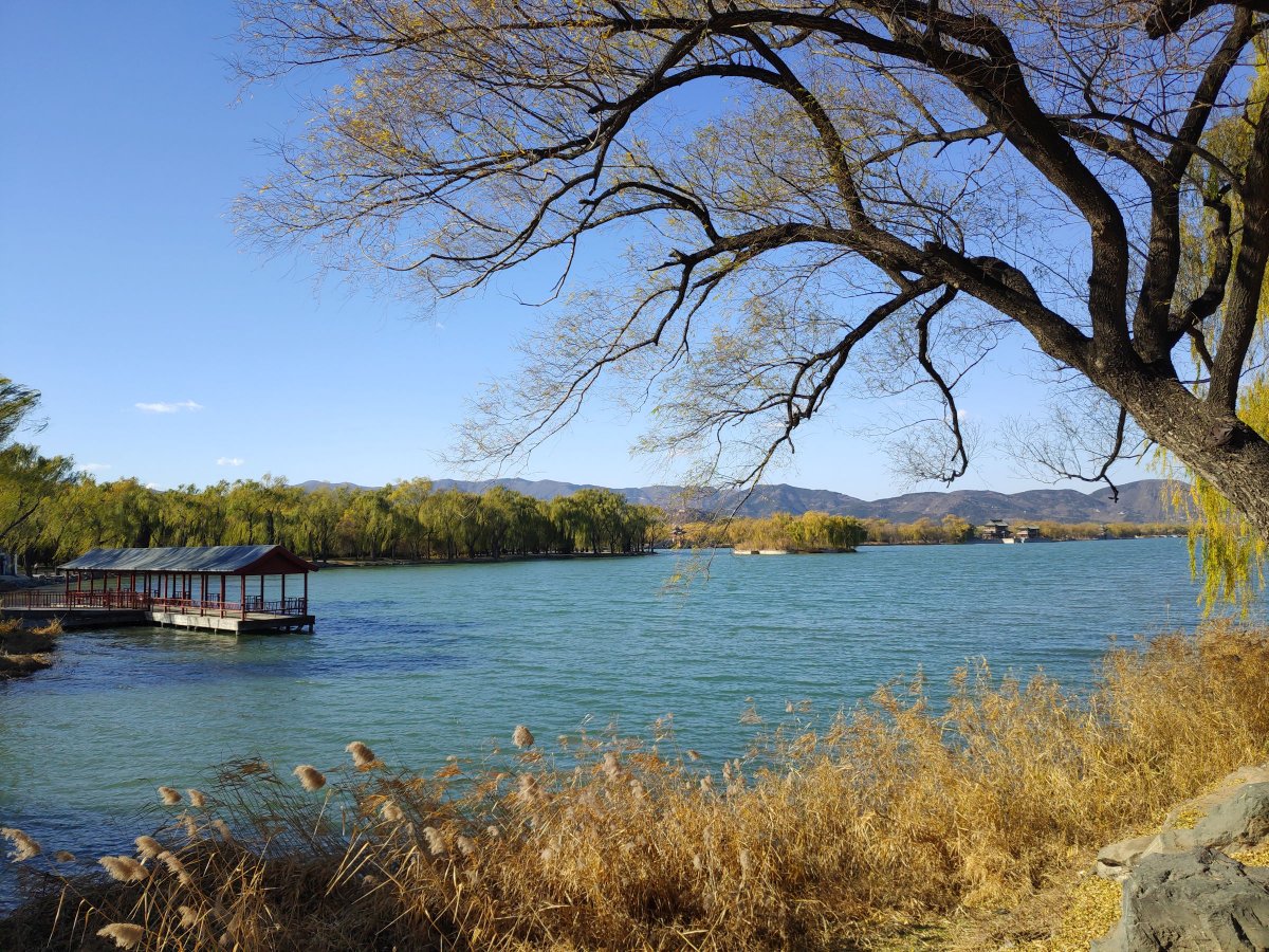 坚果r1smartisanos8.0,锤子手机坚果r1后摄像头