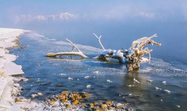 1月机票白菜价！从洛阳出发，最低只要170元！比坐车还便宜！