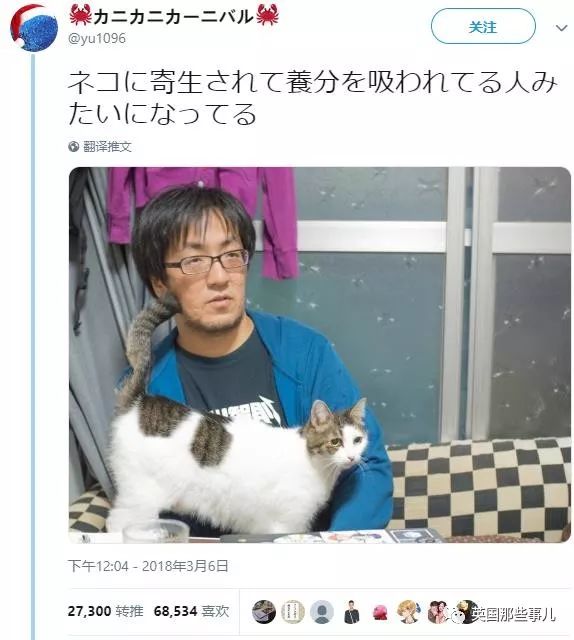 2018年在日推上“青史留名”的喵星人，引起舒适！